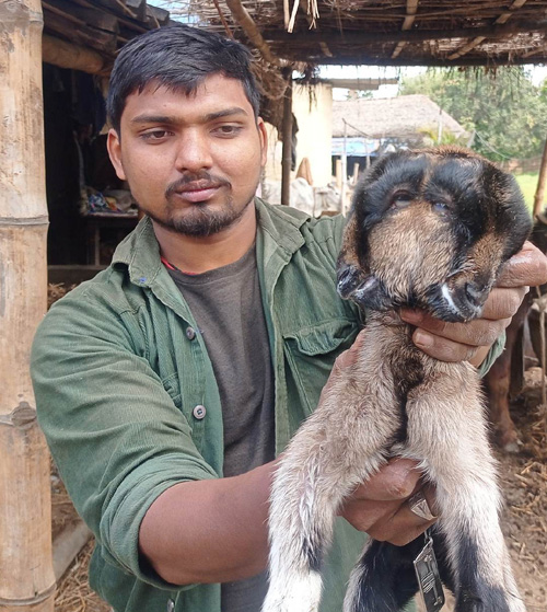 बाख्राले चार आँखा र दुई टाउके पाठो जन्माए 