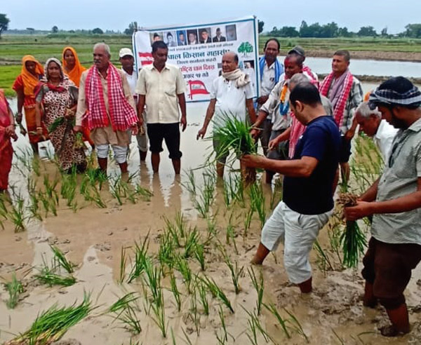 रोपाईसँगै काँग्रेसद्वारा किसानको कार्यालय उद्घाटन 